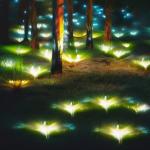 Parks in LA to be Lit with Plants which Glow in the Dark.